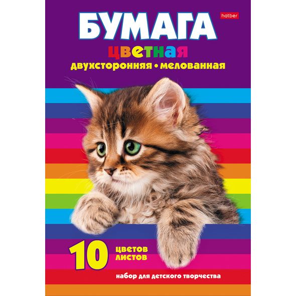 Набор бумаги цветной Мелованной Двухсторонней 10л 10 цв. А4ф 195х280мм в папке-Котенок- , 